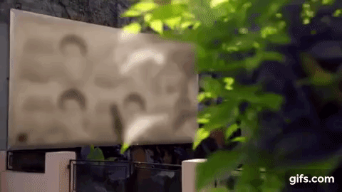 gif lucas godoy