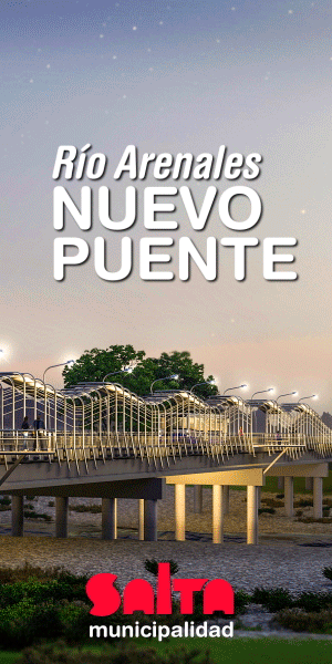 Muni Salta NUEVO PUENTE RIO ARENALES